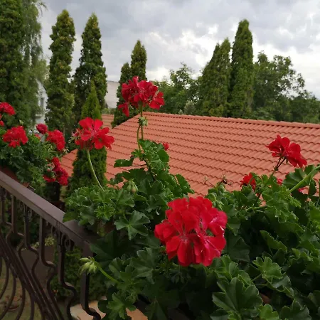 Frühstückspension Julia Panzio Hajdúszoboszló